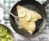 Maischolle