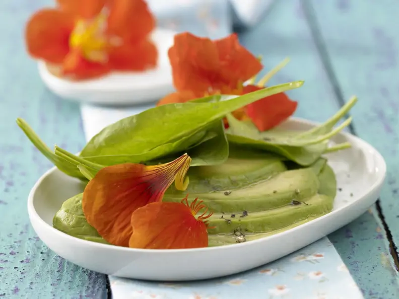 Spinatsalat mit Avocado