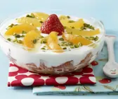 Joghurt-Quark-Schichtspeise