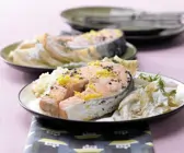 Marinierter Lachs auf Fenchelgemüse