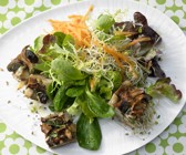 Pilz-Gratin auf Sprossensalat