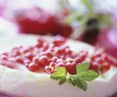 Johannisbeer-Quarkkuchen