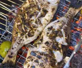 Doraden vom Grill