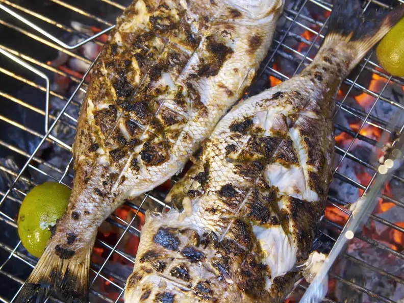 Doraden vom Grill