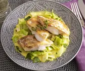 Zanderfilet mit Kohl