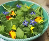 Raukesalat mit Essblüten