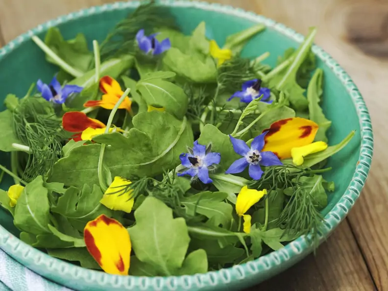 Raukesalat mit Essblüten