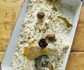 Lachsforelle mit Salz überkrustet