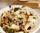 Pasta mit Pilzsauce