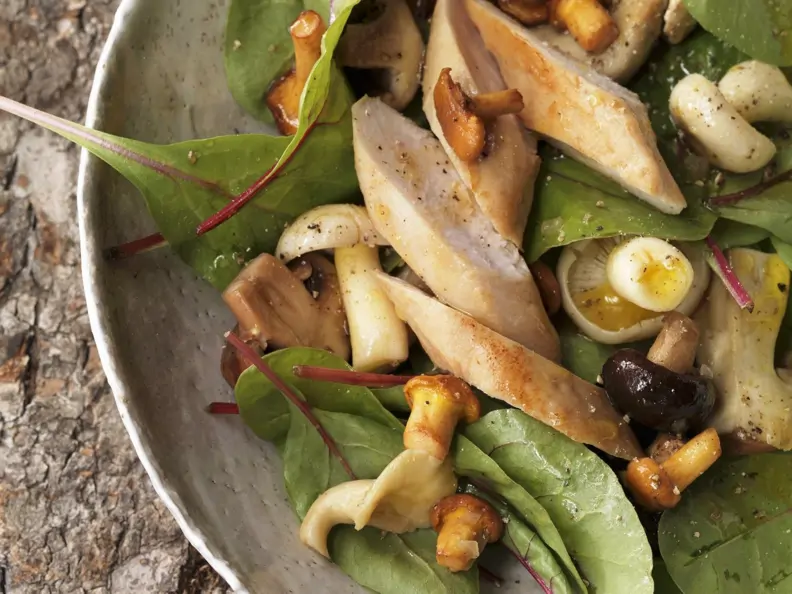 Herbstlicher Salat mit Pilzen und Kaninchenfilet