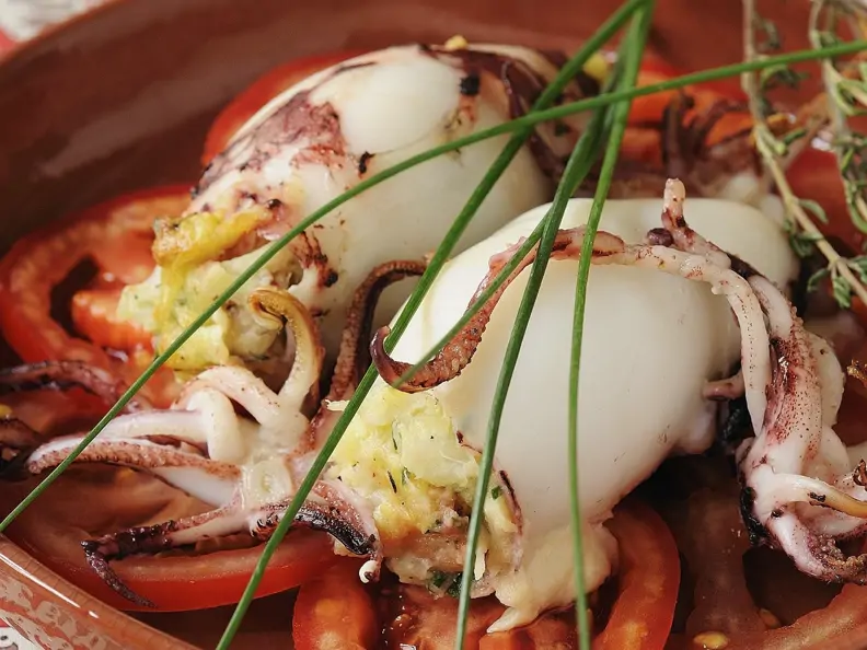 Tintenfischtuben mit Fischfüllung auf Tomatenscheiben