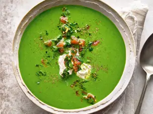 Spinatsuppe mit Mozzarella und Tomaten-Gremolata