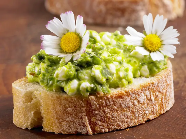 Brot mit grünem Hüttenkäse und Gänseblümchen
