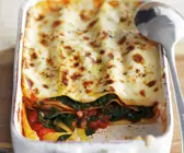 Spinat-Tomaten-Lasagne