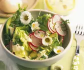 Kopfsalat mit Radieschen, Avocado und Gänseblümchen