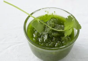 Grüne Mojo-Soße