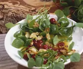 Tellerkraut mit Cranberries und Pastinakencrackern