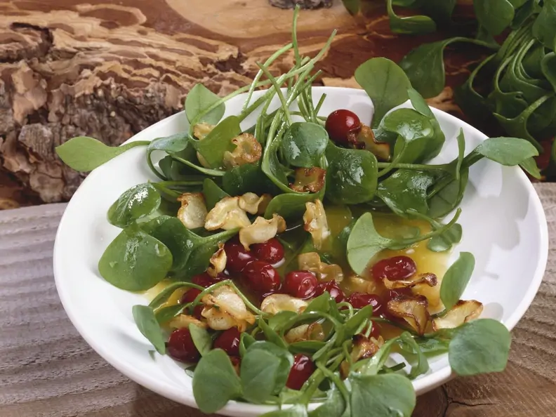 Tellerkraut mit Cranberries und Pastinakencrackern