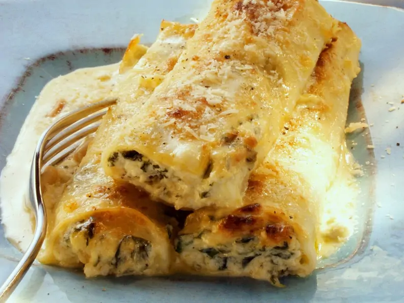 Cannelloni mit Käsesoße