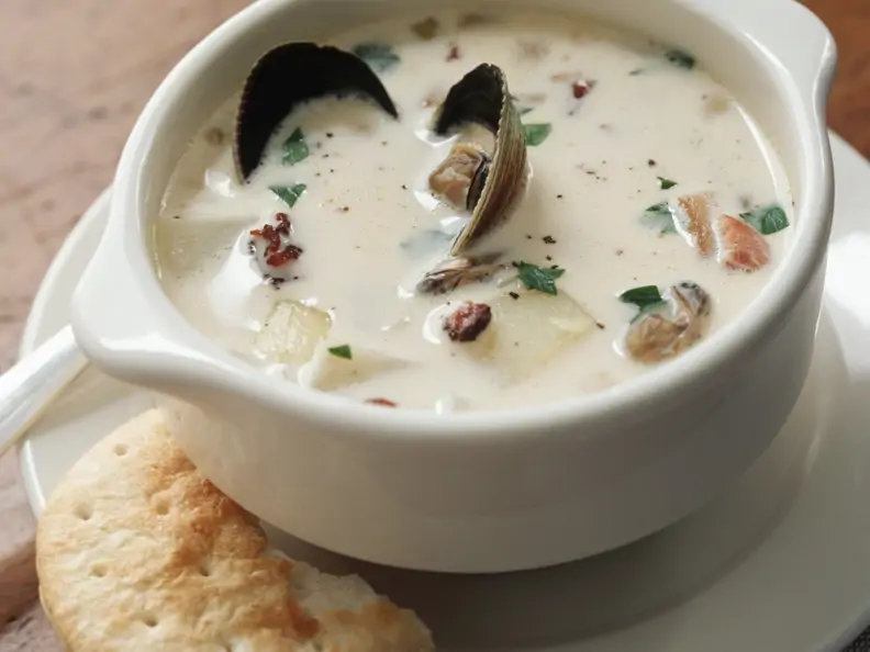 Muschelsuppe auf amerikanische Art (Clam Chowder)