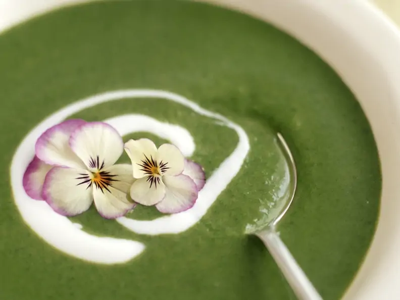 Spinatcremesuppe