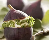 Feigen gefüllt mit Cashewkern-Käse und Kresse