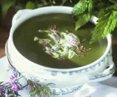 Suppe aus Brennnessel und Morcheln