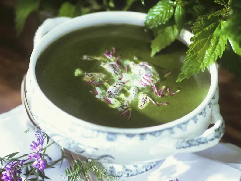 Suppe aus Brennnessel und Morcheln