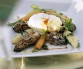 Morchel-Karotten-Ragout mit verlorenem Ei