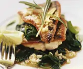 Gebratene Makrelenfilets mit Spinatgemüse