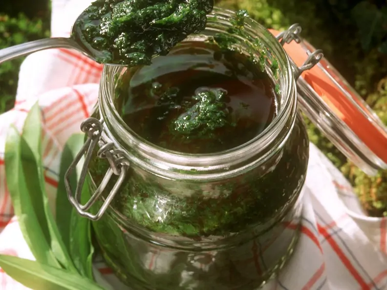 Pesto aus Bärlauch