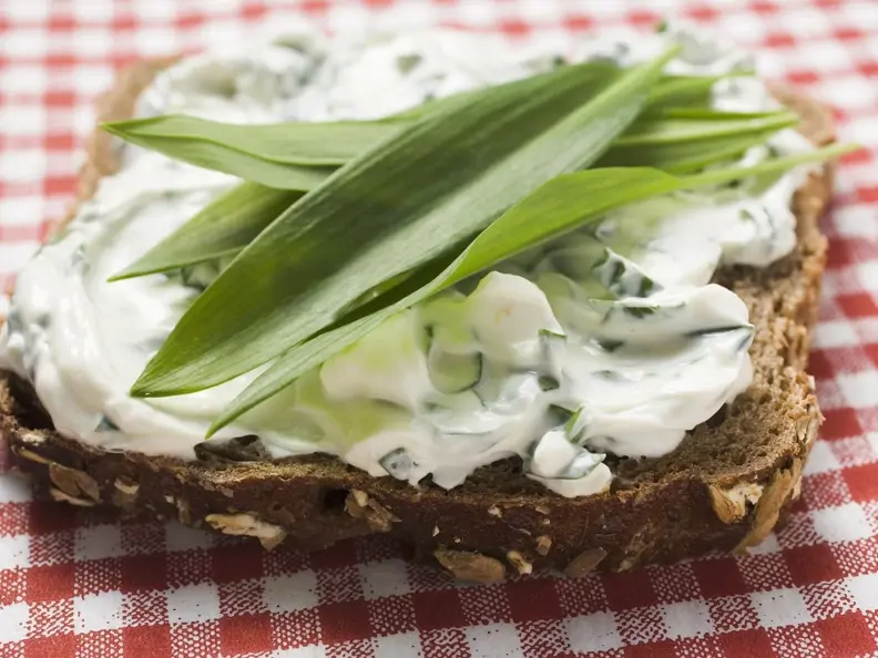 Vollkornbrot und Quark mit Bärlauch