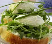 Brot mit Frischkäse und Kresse zu Ostern