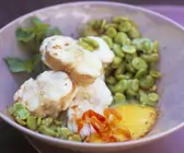 Seeteufel mit dicken Bohnen und Coulis aus Mango