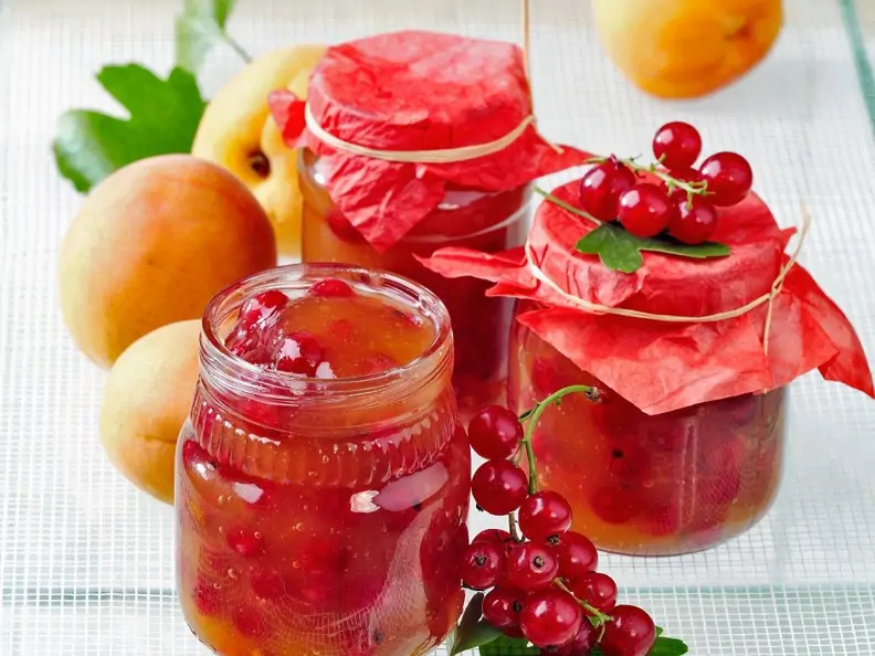 Aprikosenkonfitüre mit Johannisbeeren