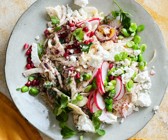 Fenchelsalat mit Granatapfel