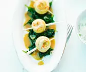 Seezungenröllchen mit Apfel-Curry-Sauce