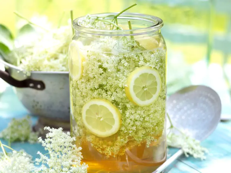 Holunderblütensirup mit Apfelsaft