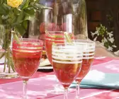 Zitronengras-Granatapfel-Drink
