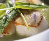 Gebratene Jakobsmuscheln in Suppe aus Kräutern