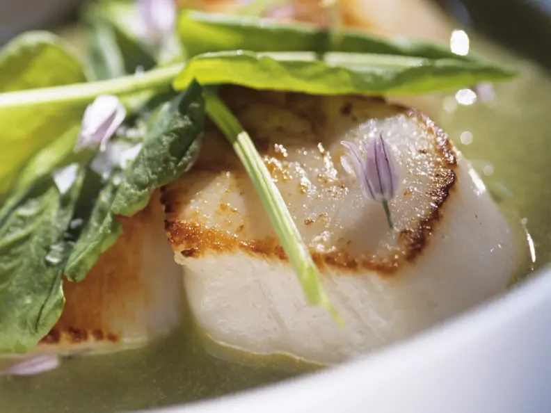Gebratene Jakobsmuscheln in Suppe aus Kräutern