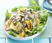 Würziger Hähnchensalat mit Mango