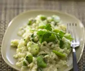 Saubohnen-Risotto mit Appenzeller