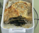 Lasagne mit Mangold