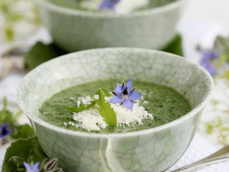 Cremige Borretschsuppe mit Parmesan
