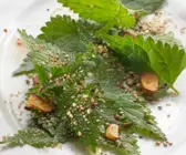 Salat aus Brennnessel