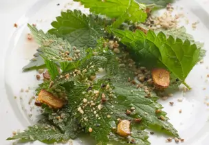 Salat aus Brennnessel