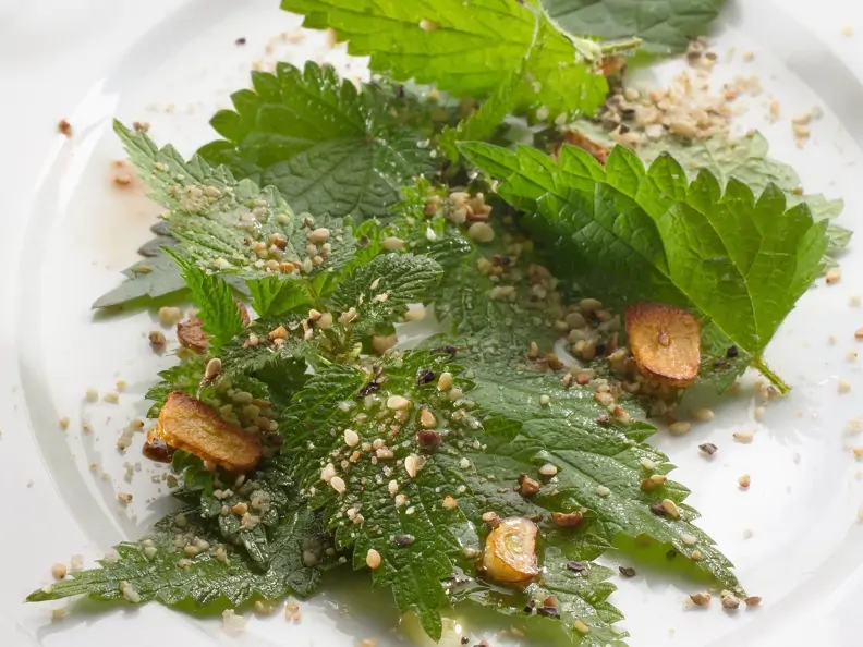 Salat aus Brennnessel