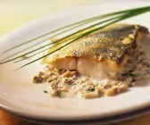 Gebratenes Zanderfilet mit Rahmsoße