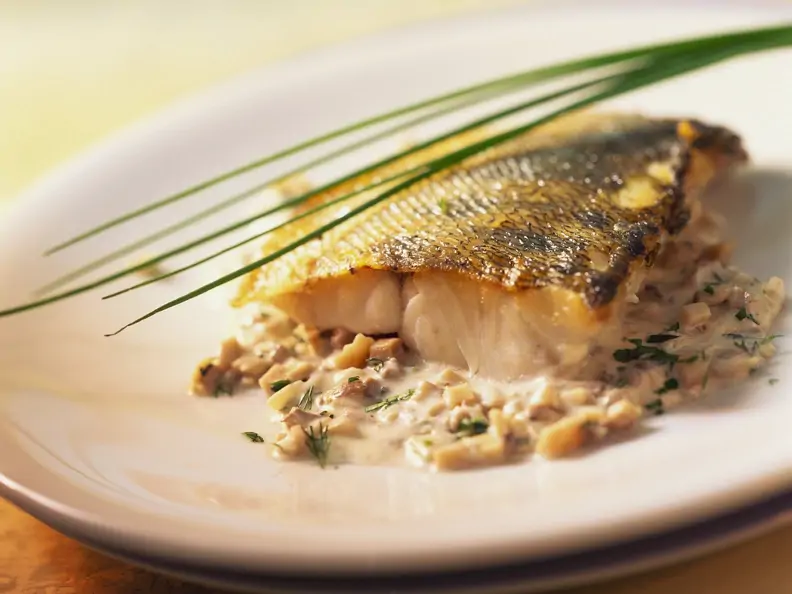 Gebratenes Zanderfilet mit Rahmsoße